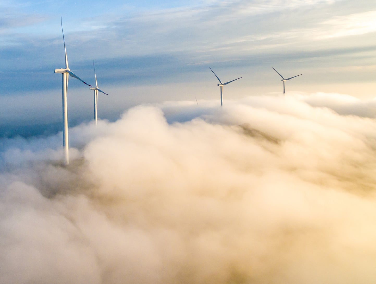 Excelsior - Wind turbines