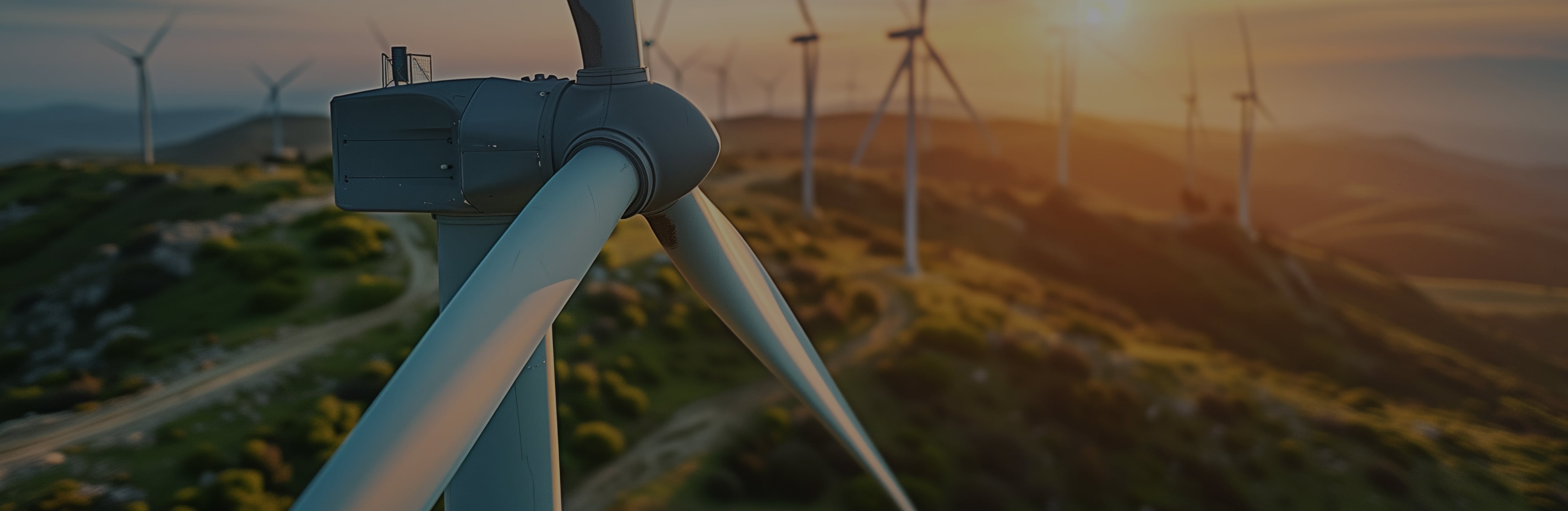 A passionate team of energy
specialists with a deep track
record of investment success