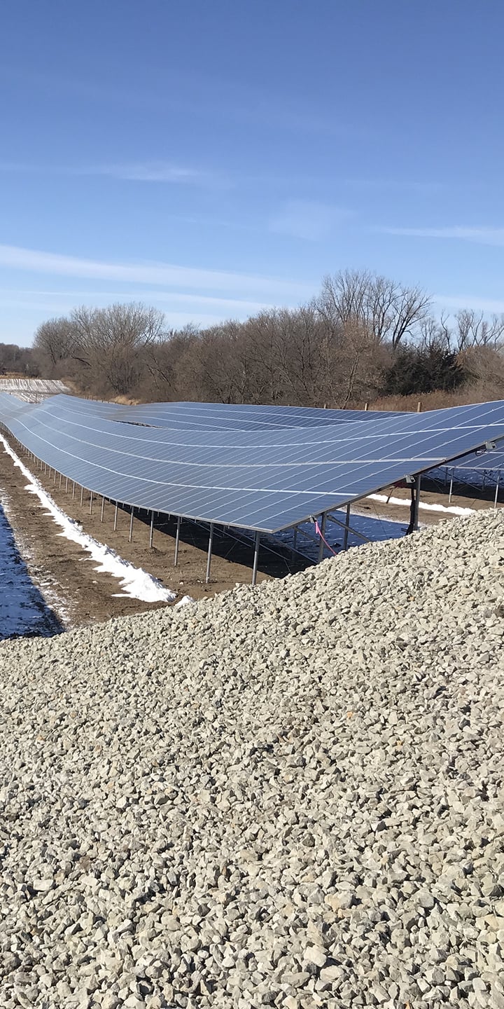 A ground-mounted solar farm with rows of blue solar panels stretching into the distance under a clear blue sky, with some bare trees in the background.